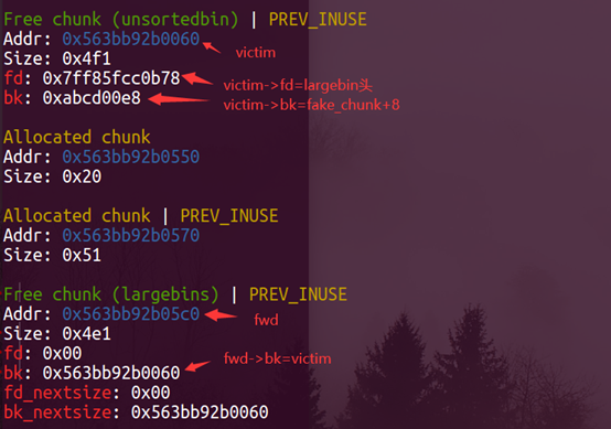 image-20211226162922399
